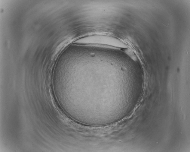 X0000088030001200705251128