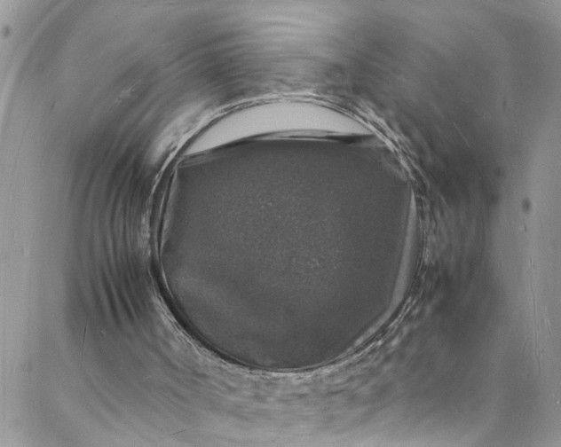 X0000088030002200705251128