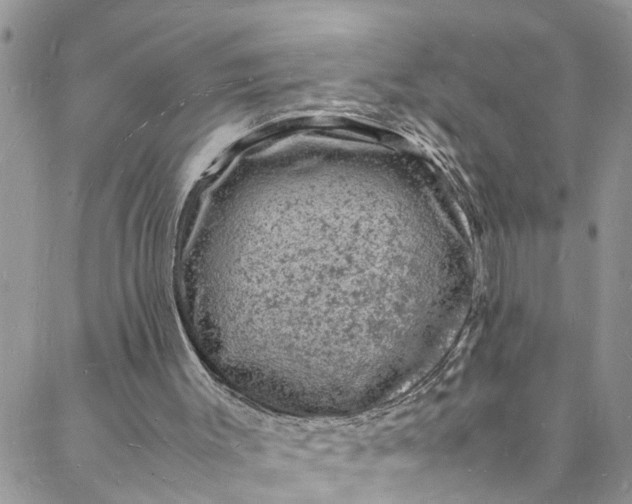 X0000088030003200705251128