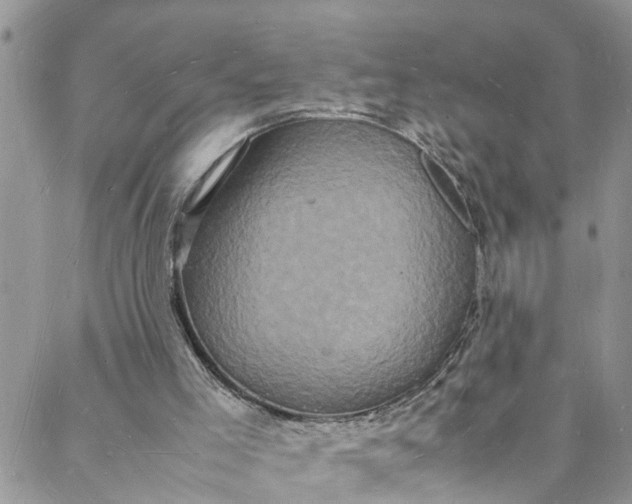 X0000088030005200705251128