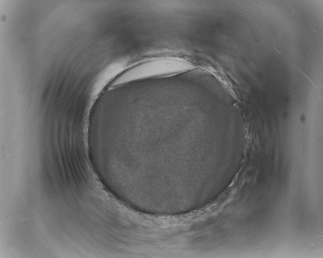 X0000088030006200705251128