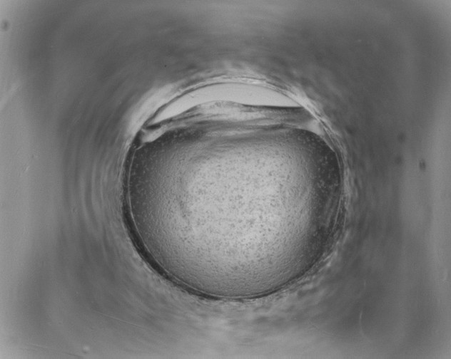 X0000088030007200705251128