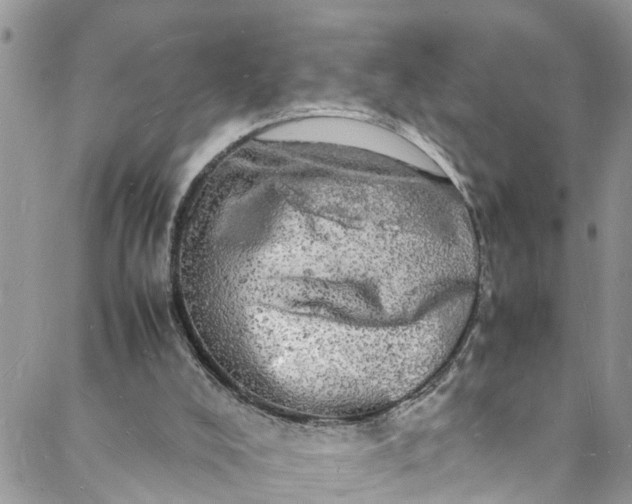 X0000088030008200705251128