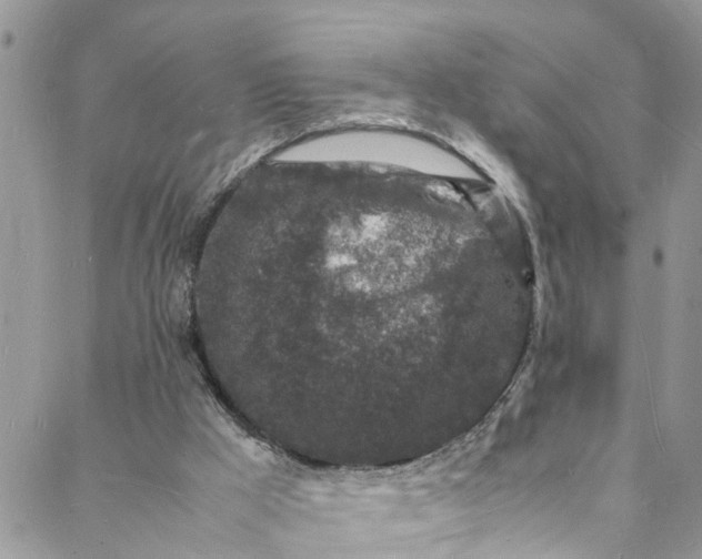 X0000088030009200705251128