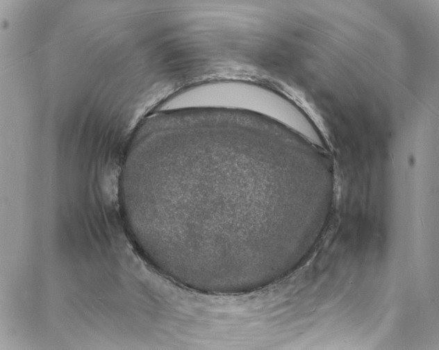 X0000088030010200705251128