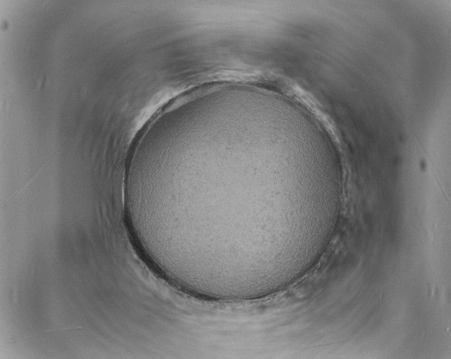 X0000088030011200705251128