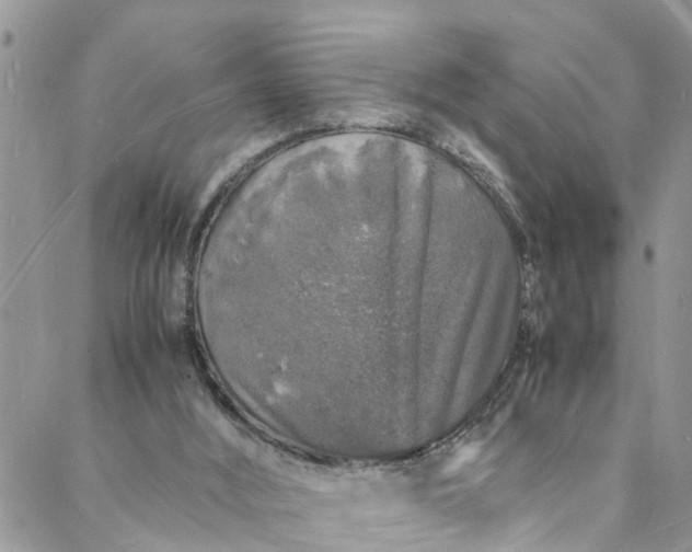 X0000088030012200705251128