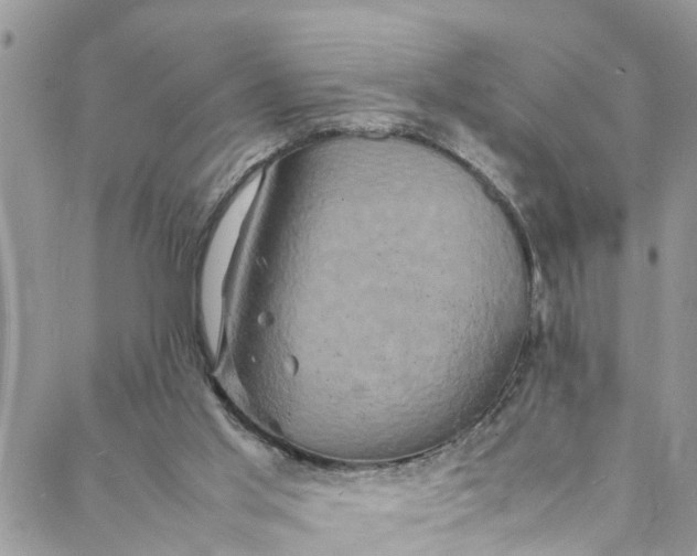 X0000088030013200705251128