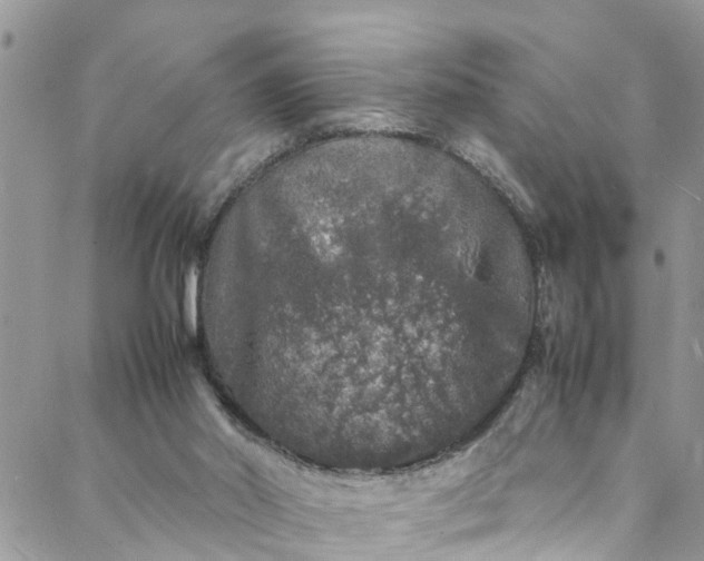 X0000088030014200705251128