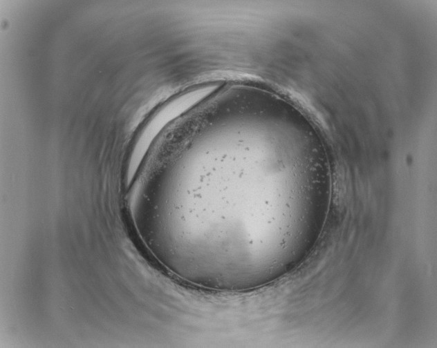 X0000088030015200705251128