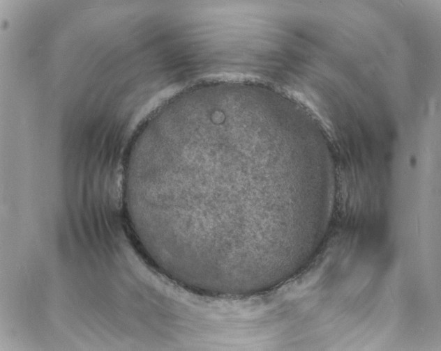 X0000088030016200705251128