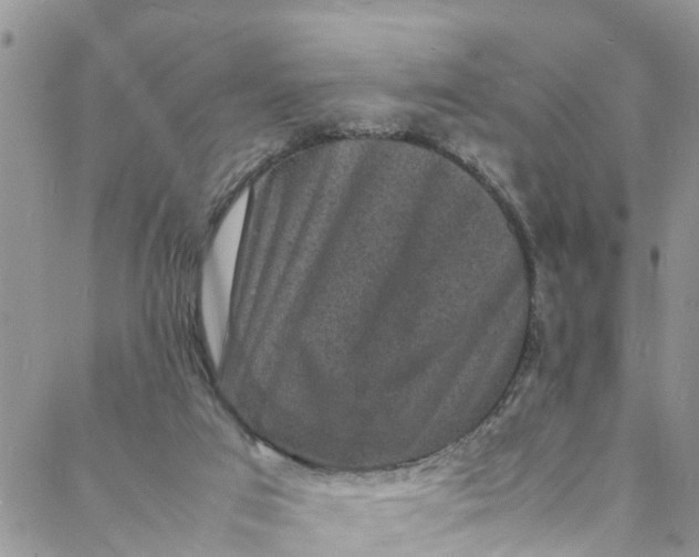 X0000088030017200705251128