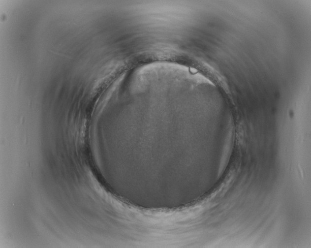 X0000088030018200705251128