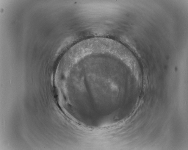 X0000088030019200705251128