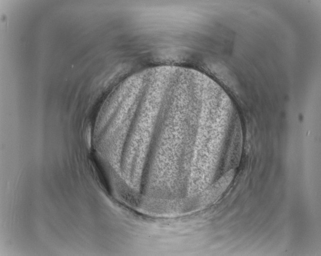 X0000088030021200705251128