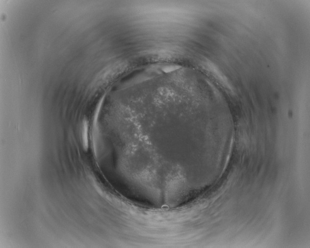 X0000088030022200705251128