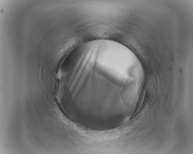 X0000088030023200705251128