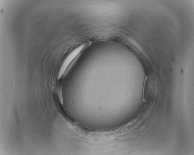 X0000088030025200705251128