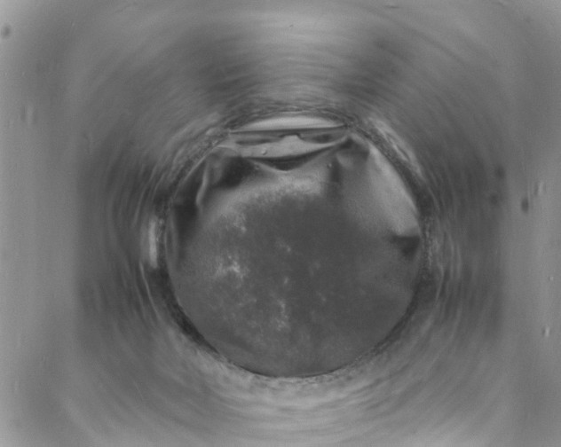 X0000088030026200705251128