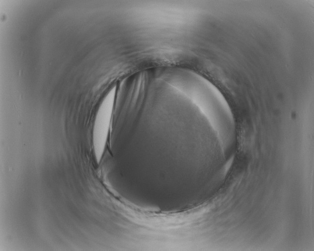 X0000088030027200705251127