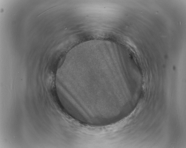 X0000088030029200705251127