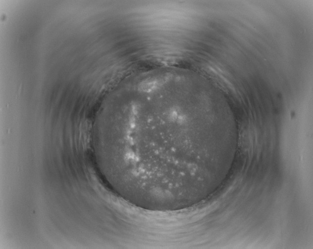 X0000088030030200705251127