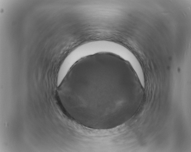 X0000088030031200705251127