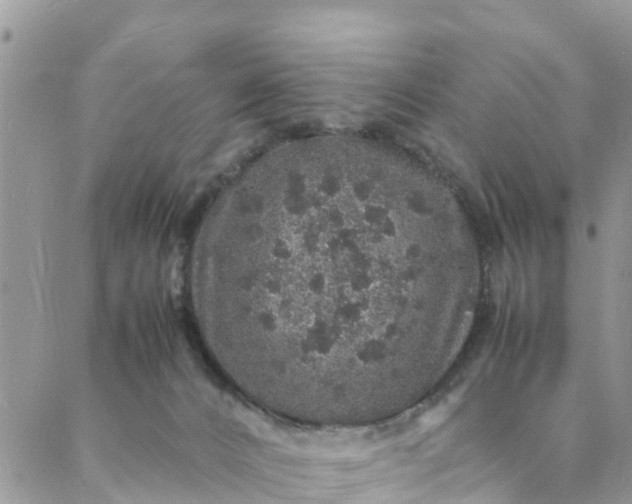 X0000088030032200705251127