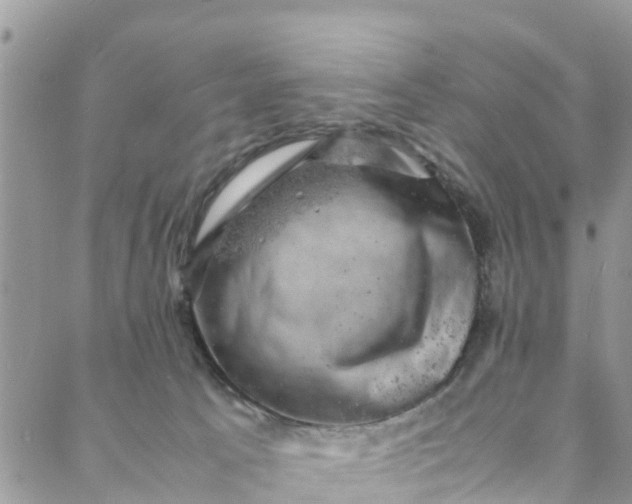 X0000088030033200705251127