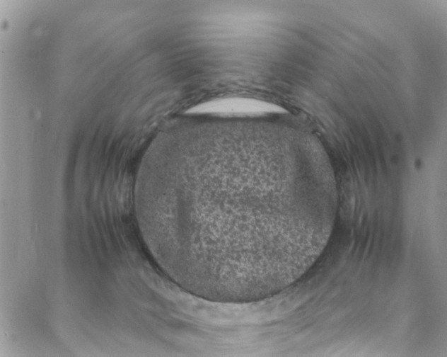 X0000088030034200705251127