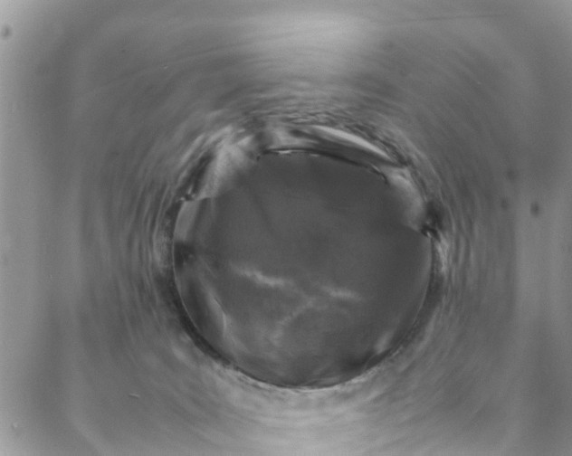 X0000088030035200705251127