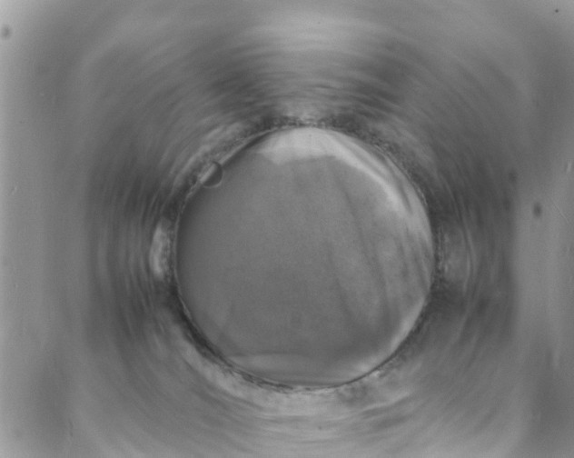 X0000088030036200705251127