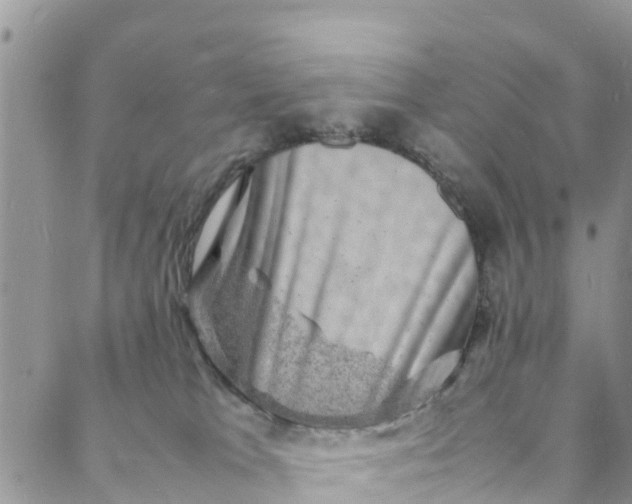 X0000088030037200705251127