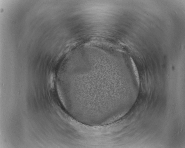 X0000088030038200705251127