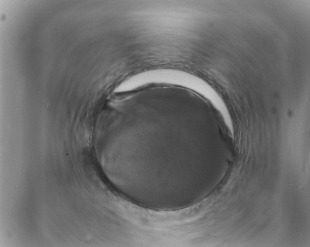 X0000088030039200705251127