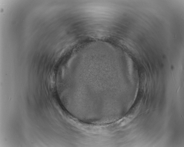 X0000088030040200705251127