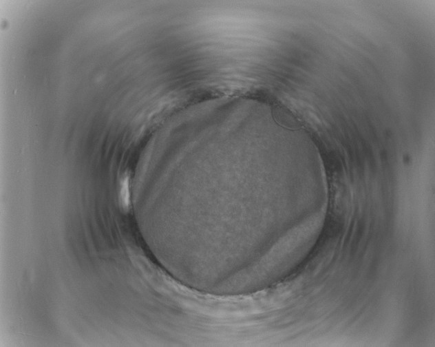 X0000088030042200705251127