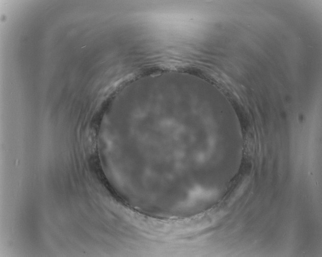 X0000088030043200705251127