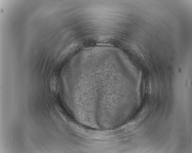 X0000088030044200705251127