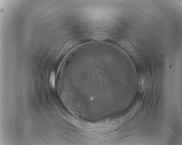 X0000088030046200705251127