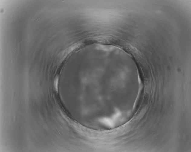 X0000088030047200705251127