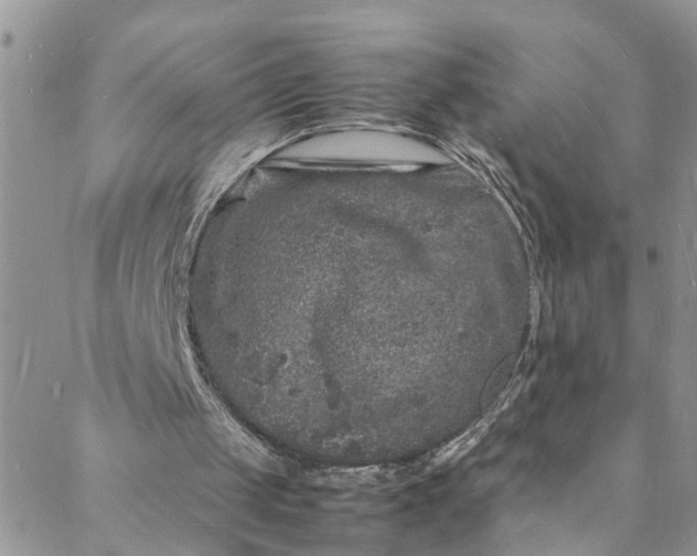 X0000088030049200705251126