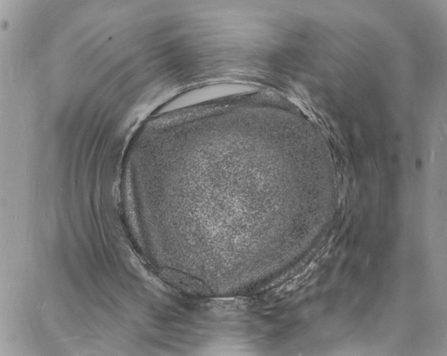 X0000088030050200705251126