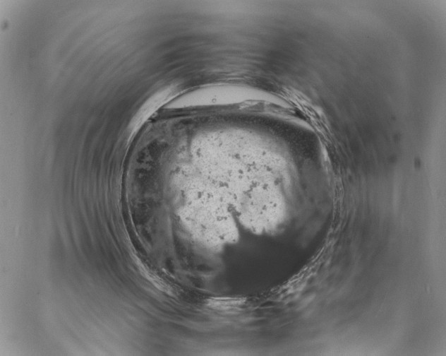 X0000088030051200705251126