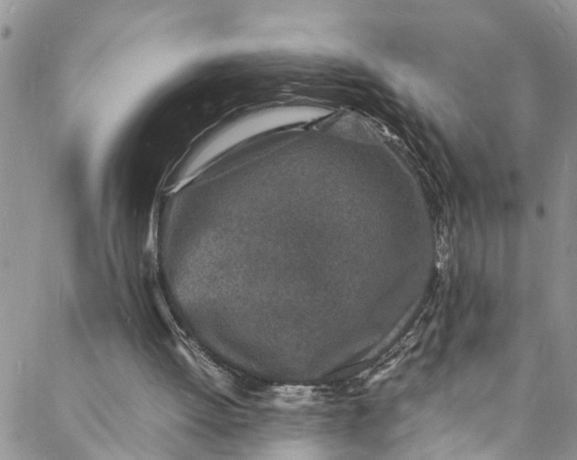 X0000088030052200705251126