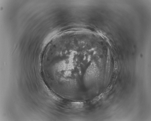 X0000088030053200705251126