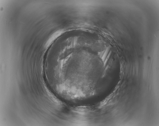 X0000088030054200705251126