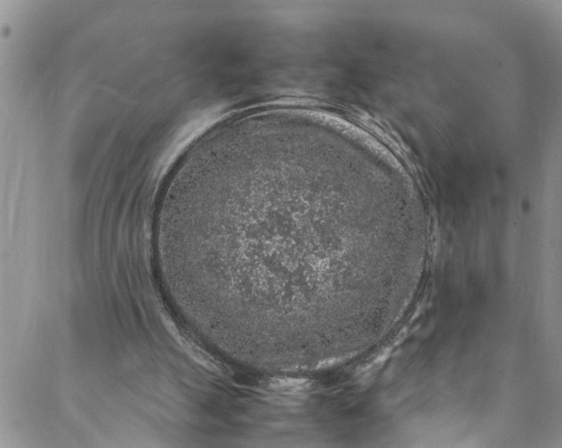 X0000088030055200705251126