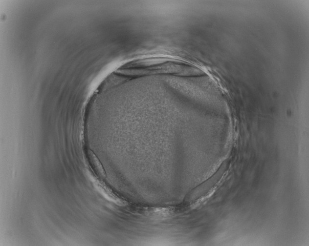 X0000088030056200705251126