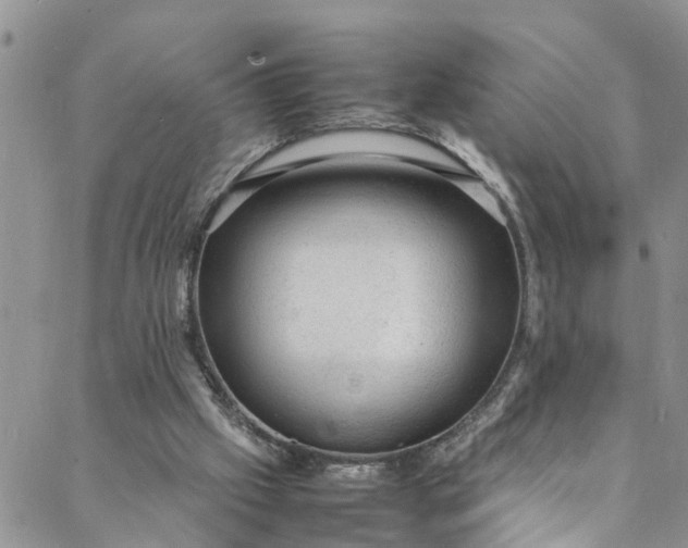 X0000088030057200705251127